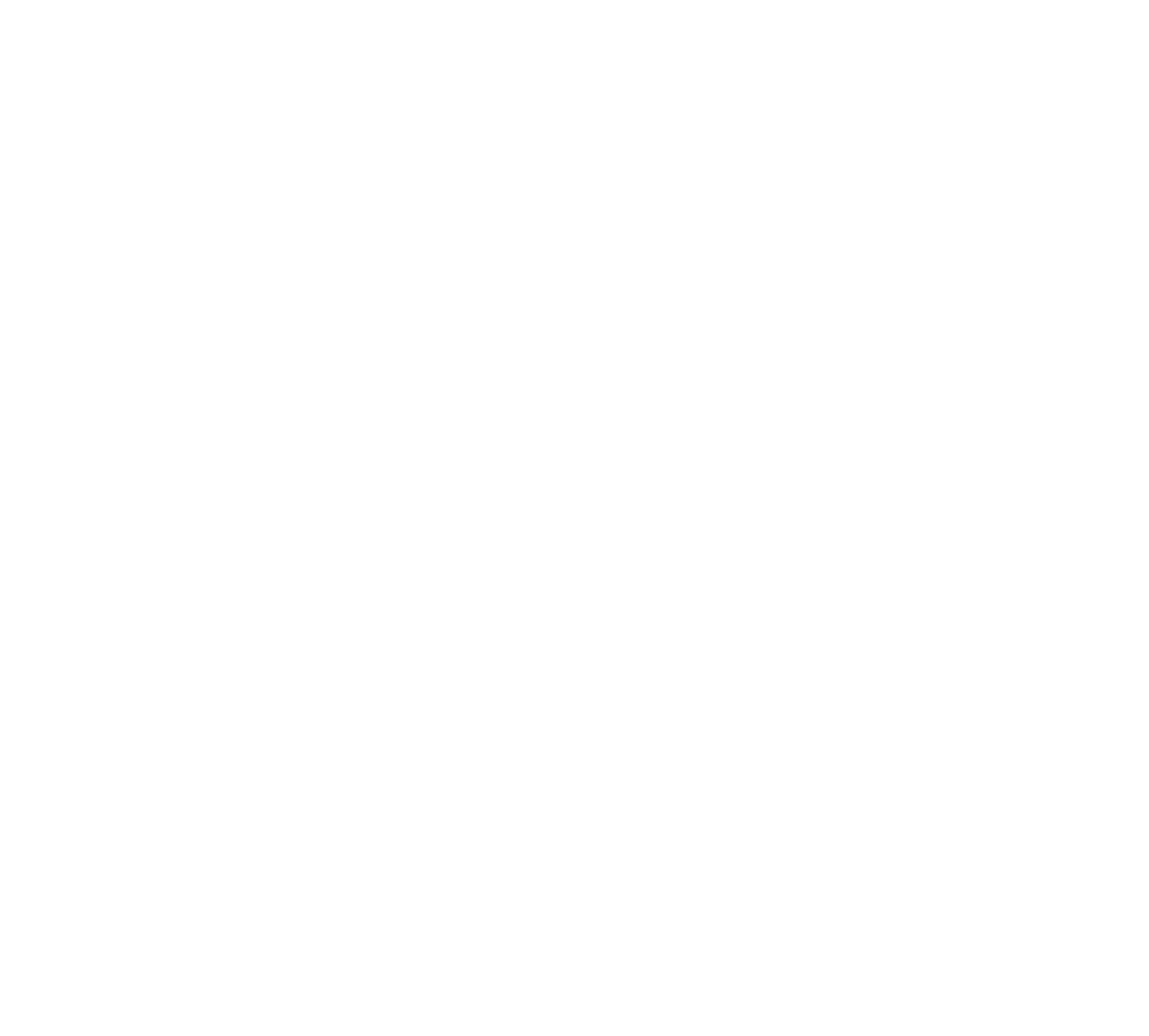燕三条発!コラボレーション第4弾 ポータブル電源対応 石油ファンヒーター & 専用の収納バッグ